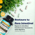 Probioticos 120 Billion 36 Cepas Cfu