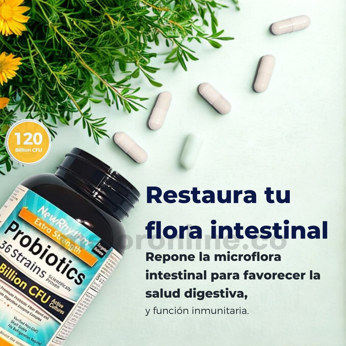 Probioticos 120 Billion 36 Cepas Cfu